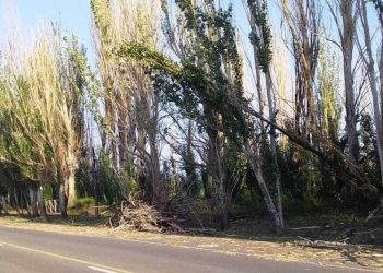 El saldo de la tormenta en la provincia: un muerto y 73 intervenciones de Defensa Civil