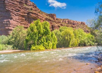 Por primera vez La Pampa y Mendoza hicieron una recorrida conjunta en el río Atuel