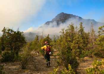 La Argentina en llamas: en lo que va del 2022 ya se superó la cantidad de hectáreas incendiadas registradas en 2021