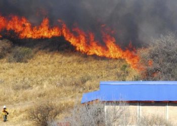 La Mesa de Enlace estimó que las pérdidas por los incendios en el litoral llegan a los 25 mil millones de pesos