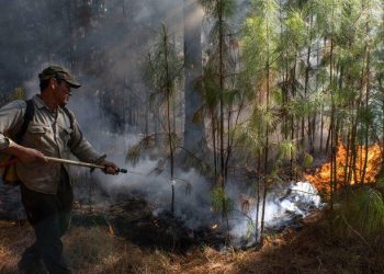 La pesadilla no termina: cinco focos de incendios en Corrientes activos
