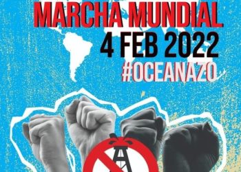 Ambientalistas de Mendoza se suman al “Oceanazo”