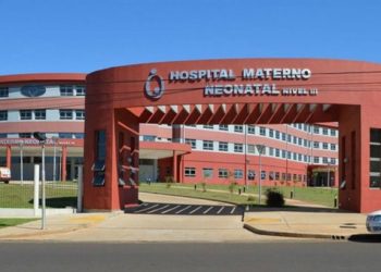 Otra nena internada por la mordida de un Pitbull: la atacó en la cara