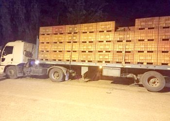 En un camión robaron duraznosde una finca pero fuerondetenidos por la policía