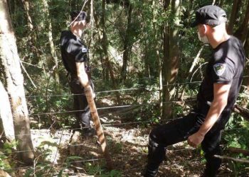 Horror: Su primo lo ejecutó de un disparo y luego lo enterró