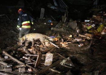 Tragedia en Ecuador: un alud dejó más de 10 muertos y cientos de heridos