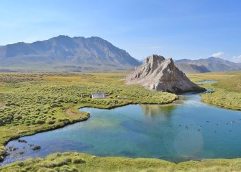 Presentan un proyecto mediante el cualse busca defender los humedales de la provincia