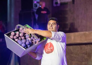 Mendoza vivió la cuarta edición de la Vendimia Inclusiva