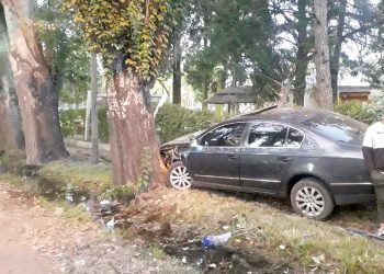 Conductores borrachos y perjuicios al Estado: ¿Hasta cuándo?