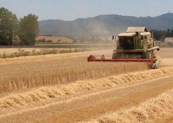 Contundente rechazo de la Bolsa de Cereal y las cadenas de valor agroindustrial a suba de las retenciones
