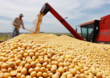 El Gobierno cerró las exportaciones de aceite y harina de soja y subiría las retenciones