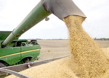 Aumento de las retenciones: industria aceitera evalúa acciones a tomar