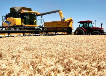 Desde Coninagro aseguran que el campo está en alerta y a la espera de definiciones