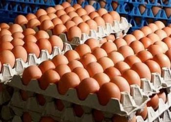 El precio de los huevos, “por las nubes”: la docena cuesta más de $230