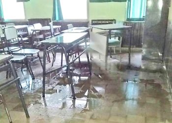 Piden informes sobre las condiciones edilicias de la Escuela Triunvirato de Goudge