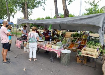 La Feria Franca estará los miércoles en la plaza Illia del barrio San Rafael