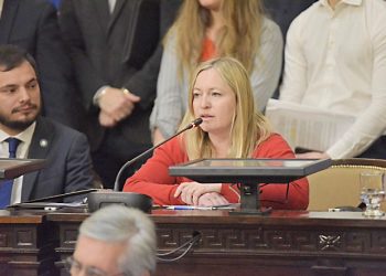 La diputada Hebe Casado reclamapara el Pro la posibilidad de votarcon boleta única en las internas