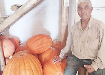 Los zapallos gigantes del Sur de Mendoza sorprenden al mundo