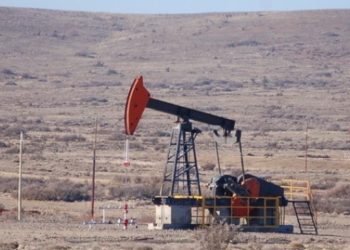 Preocupación del Gobierno por una millonaria pérdida a raíz de la guerra en Ucrania