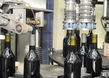 Vendimia 2022: nueve bodegas comenzaron a elaborar en San Rafael