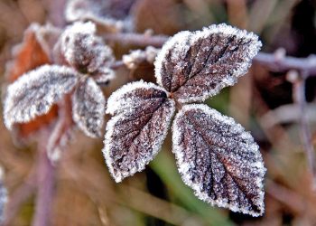 Se registró el primer “bajo cero” de la temporada en San Rafael
