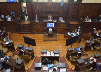 Sin el PJ, el Senado avaló el pliego de la nueva jefa de los defensores públicos