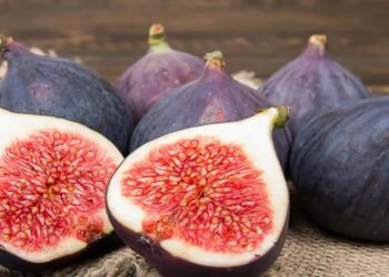 Más de la mitad de las hectáreas con higueras de Mendoza están en el sur provincial