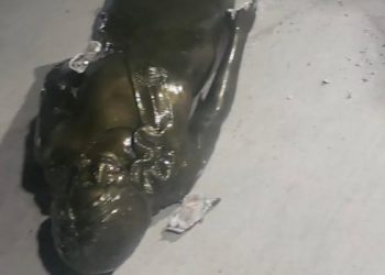 Vandalizaron la estatua de Cristina Kirchner que fue inaugurada hace pocos días en Río Gallegos