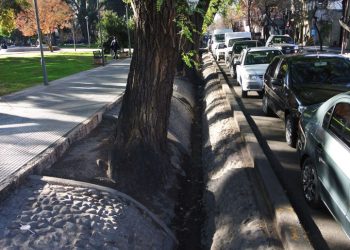 Un porteño se quejó de las acequias al caerse en una y mendocinos le respondieron con contundencia