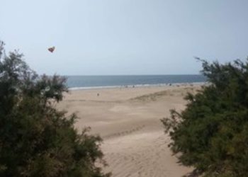 Misterio en la costa: una turista encontró un cráneo humano entre los médanos de la playa