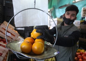 Analizaron si las frutas y verduras que se venden en Mendoza tienen residuos de agroquímicos
