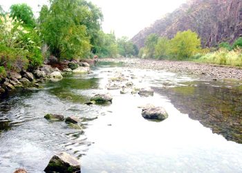 Organizan una campaña para la limpieza del río Atuel