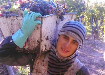Durante su adolescencia cosechó uvas para mantener a su familia y ahora se recibió de ingeniero