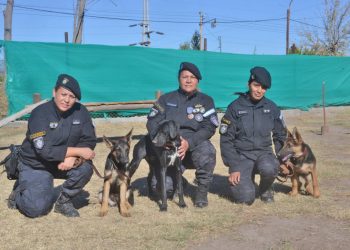El Cuerpo de Canes de la Policía tiene nuevos integrantes