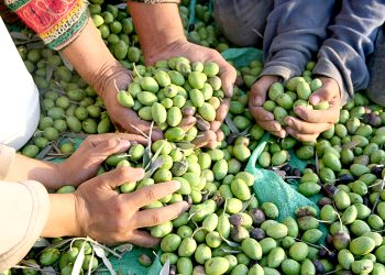 Tipos de lesiones por frío en el deporte