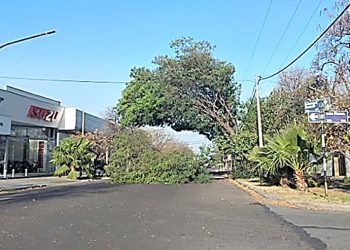 El viento Zonda tuvo ráfagas que superaron los 90 kilómetros por hora