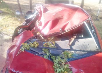 Hombre salvó su vida de milagro tras caerle una rama sobre su vehículo