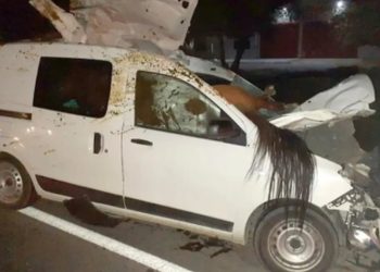 Impactante choque: un caballo quedó incrustado en su camioneta