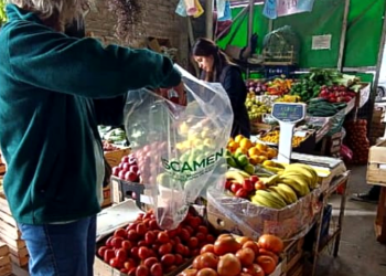 Iscamen llevó adelante un análisis de Residuos de Agroquímicos en mercados de frutas y verduras de Mendoza