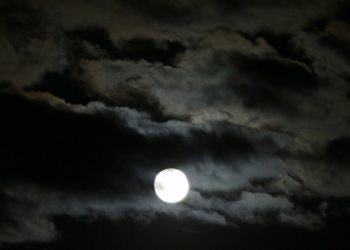 La Luna rosa iluminó el cielo mendocino