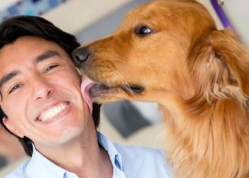 Los besos de perro pueden contagiar una superbacteria letal para los humanos, según un estudio