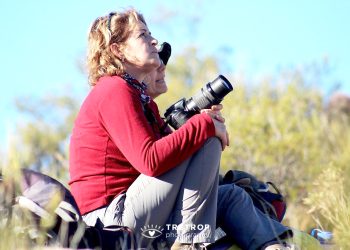 Presentarán una espectacular muestra fotográfica sobre cóndores