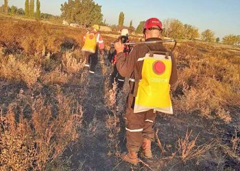 Se produjo un incendio de cinco hectáreas en Villa Atuel