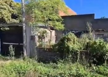 Vecinos realizaron denuncia por «olor nauseabundo»: en una casa hallaron a dos hermanos muertos