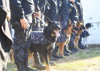 Cuerpo de Canes: 44 años al servicio de la comunidad