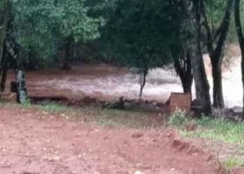 Tragedia: Dos hermanitos de dos y seis años estaban pescando y murieron ahogados tras caer a un arroyo
