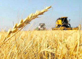 La UIM se opone a la creación del nuevo impuesto que anunció el Gobierno denominado ‘renta inesperada’