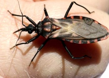 Tipos de lesiones por frío en el deporte