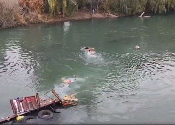 Pudo haber sido una tragedia: Vecinos se tiraron al río Neuquén para llevarse la mercadería del camión que cayó desde un puente