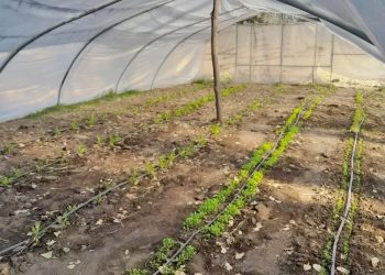 Alumnos de Punta del Agua trabajarán en invernáculos y con agroecología
